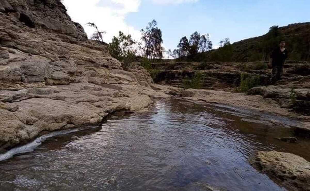 Preparan ambientalistas primer aniversario de la Sierra de San Miguelito como Área Natural Protegida. Fotos: Especiales