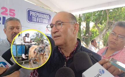 San Luis retira carretones con animales, capital tiene 62 casos identificados   