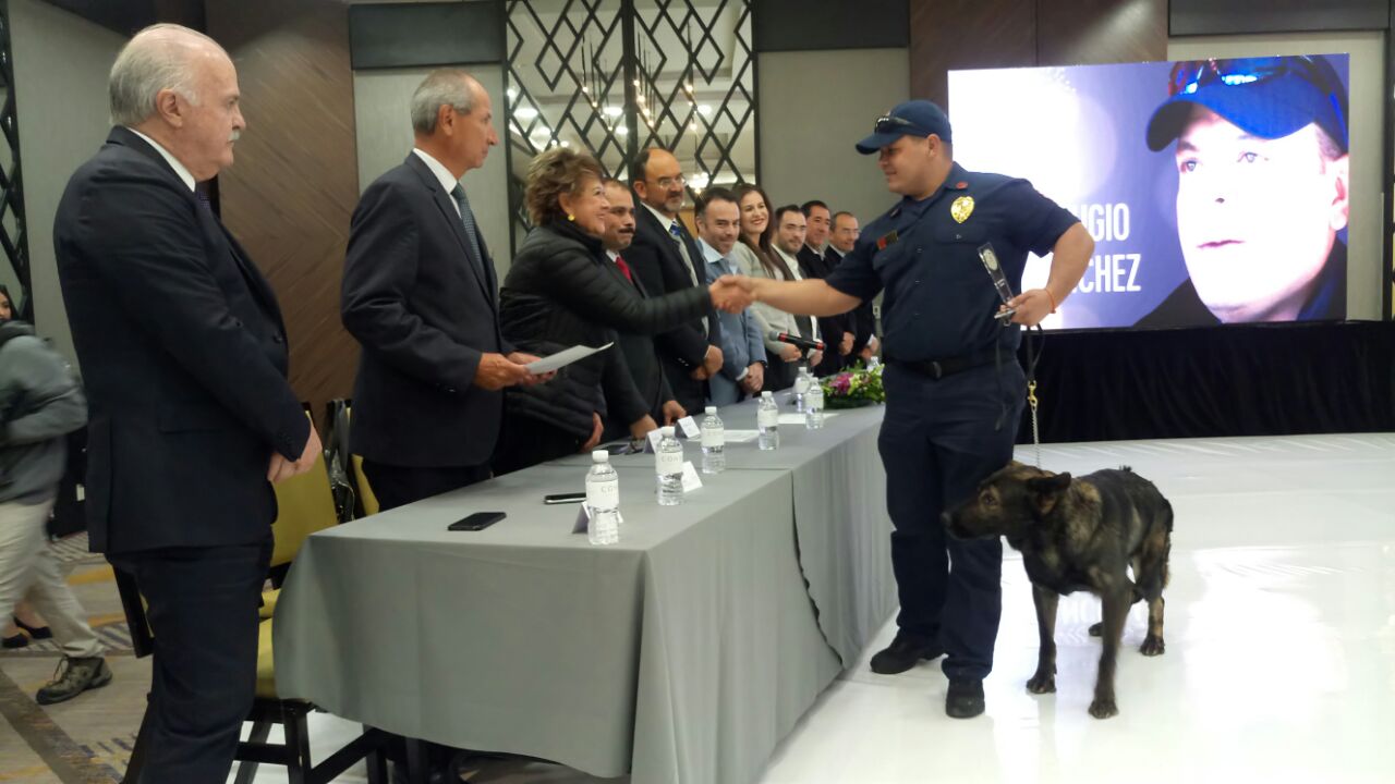 Un refugio entre los escombros 