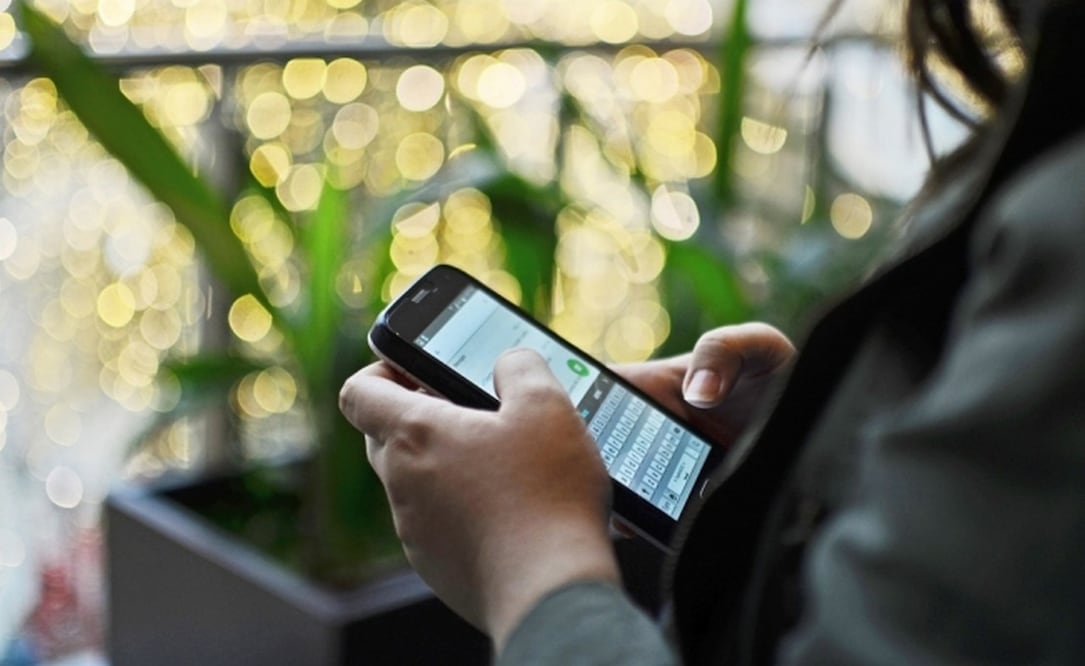 WhatsApp Business llega a iOS / Foto: Pixabay