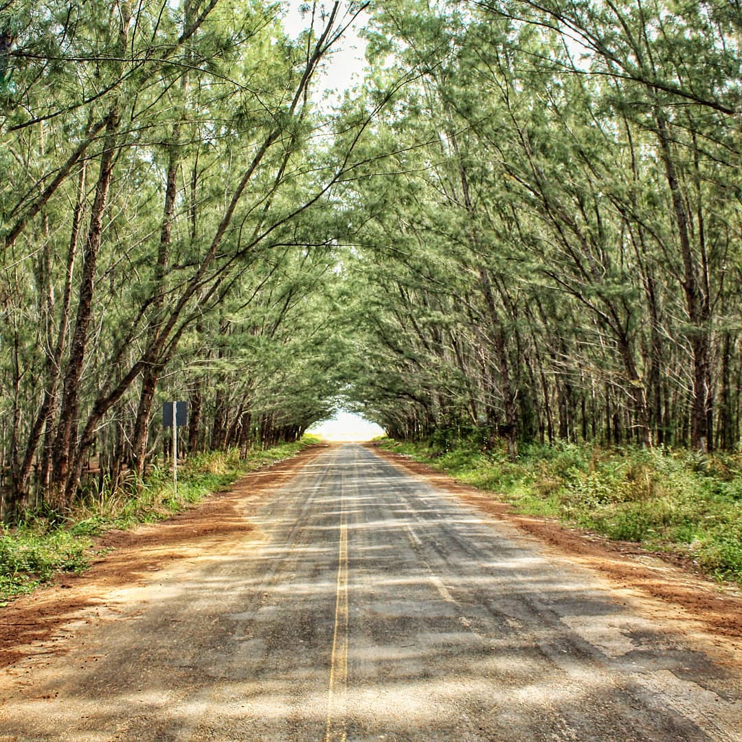 Entrada a la Playa Tesoro. Foto: Turismo Tamaulipas