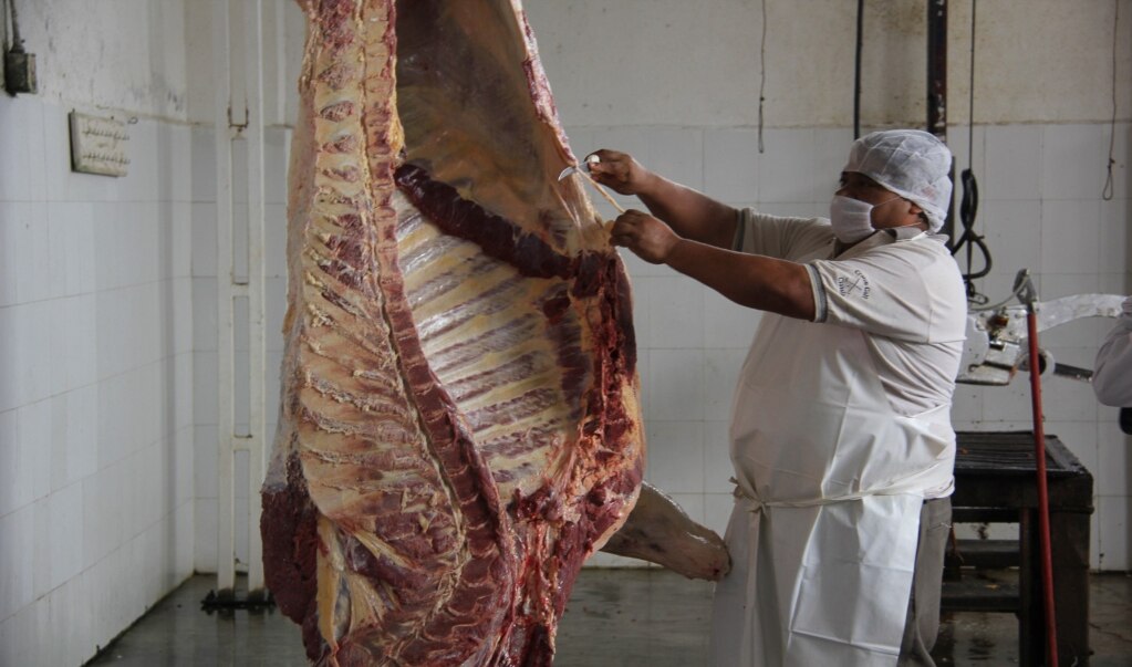 Baja sacrificio de animales en rastro de Soledad un 60%