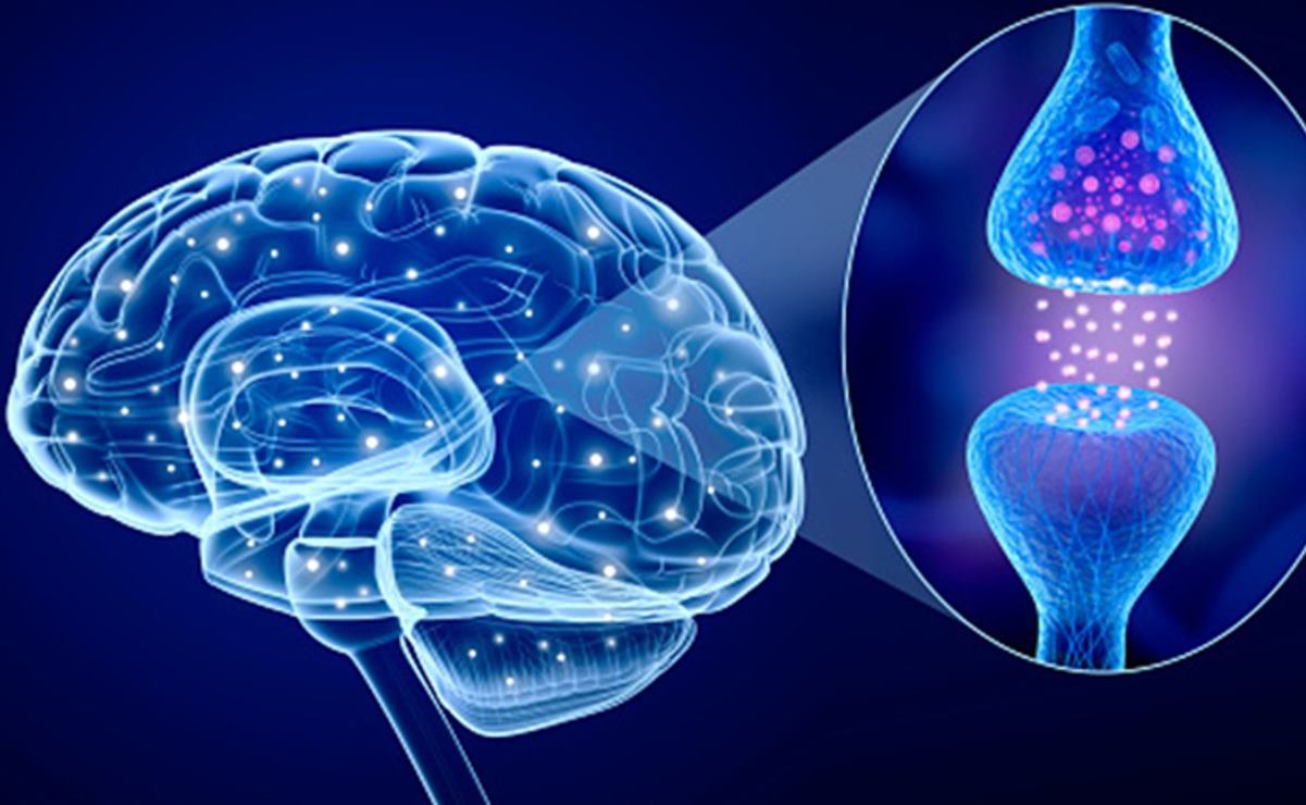 Día Mundial del Cerebro. En 2022 se han diagnosticado 51 casos de depresión y cuatro de Parkinson en SLP 