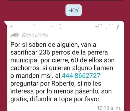 #FakeNews Desmienten sacrificio masivo en perrera municipal