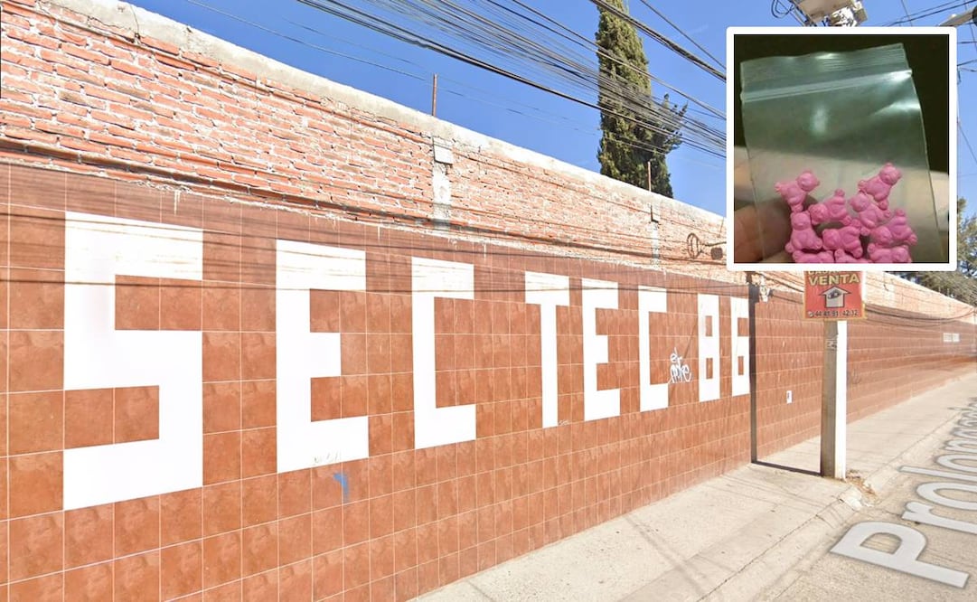 Se desconoce el estado de salud de los alumnos intoxicados. Foto: Google Maps / Especial