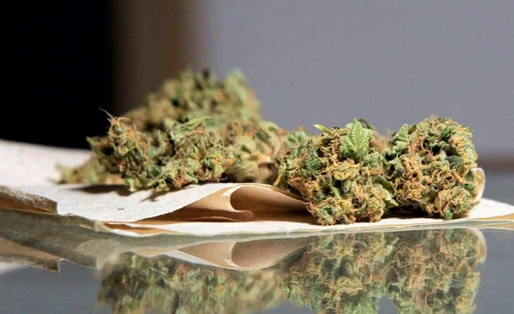 Avalan consumo de cannabis a 4 yucatecos