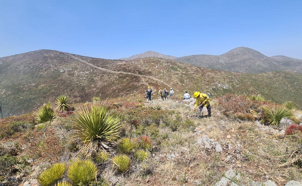 Foto: Protección Civil de San Luis Potosí