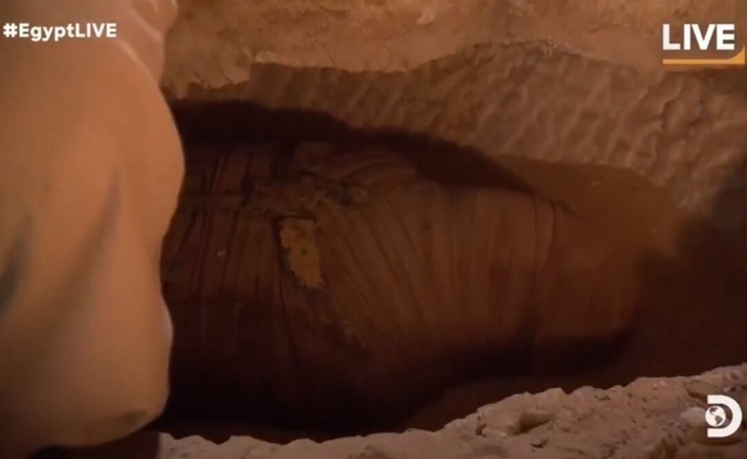 Foto: Captura Twitter / Discovery