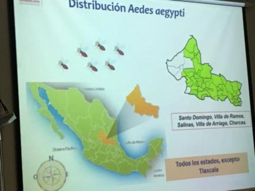 “Dengue no será erradicado”, advierte Salud 