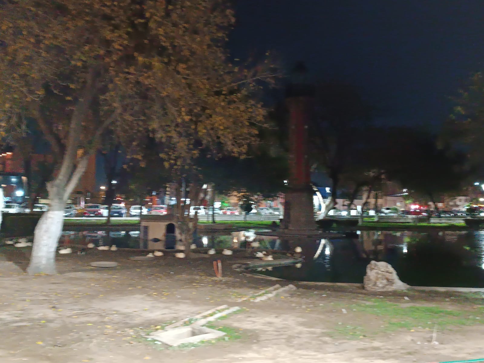 Foto: Xochiquetzal Rangel