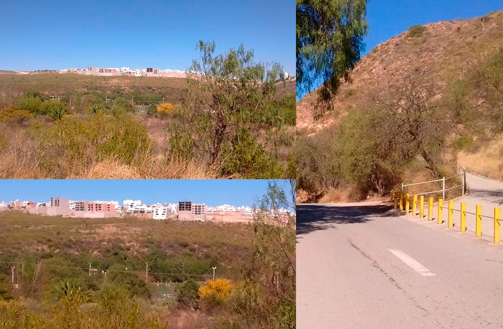 Foto: Archivo El Universal San Luis Potosí.