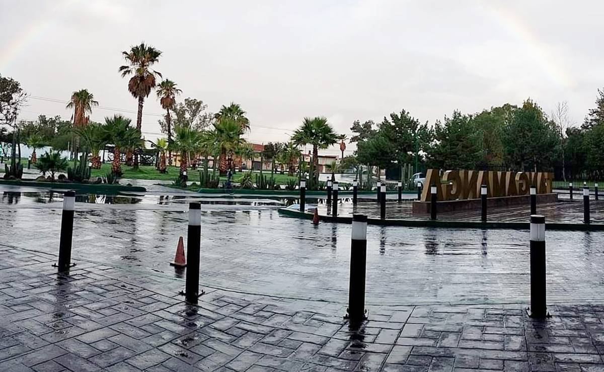 Parque Tangamanga III, asignatura pendiente en Soledad de Graciano Sánchez