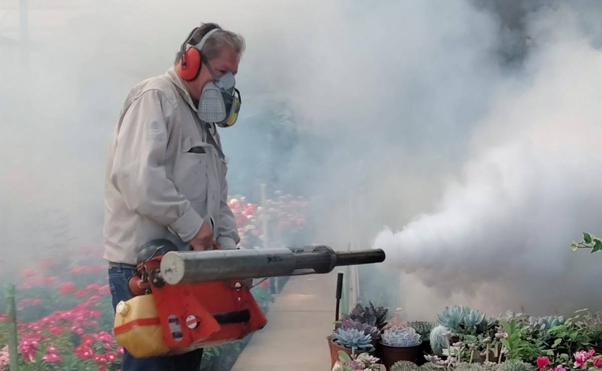 Suman 515 casos por dengue en SLP; alertan por seis contagios graves