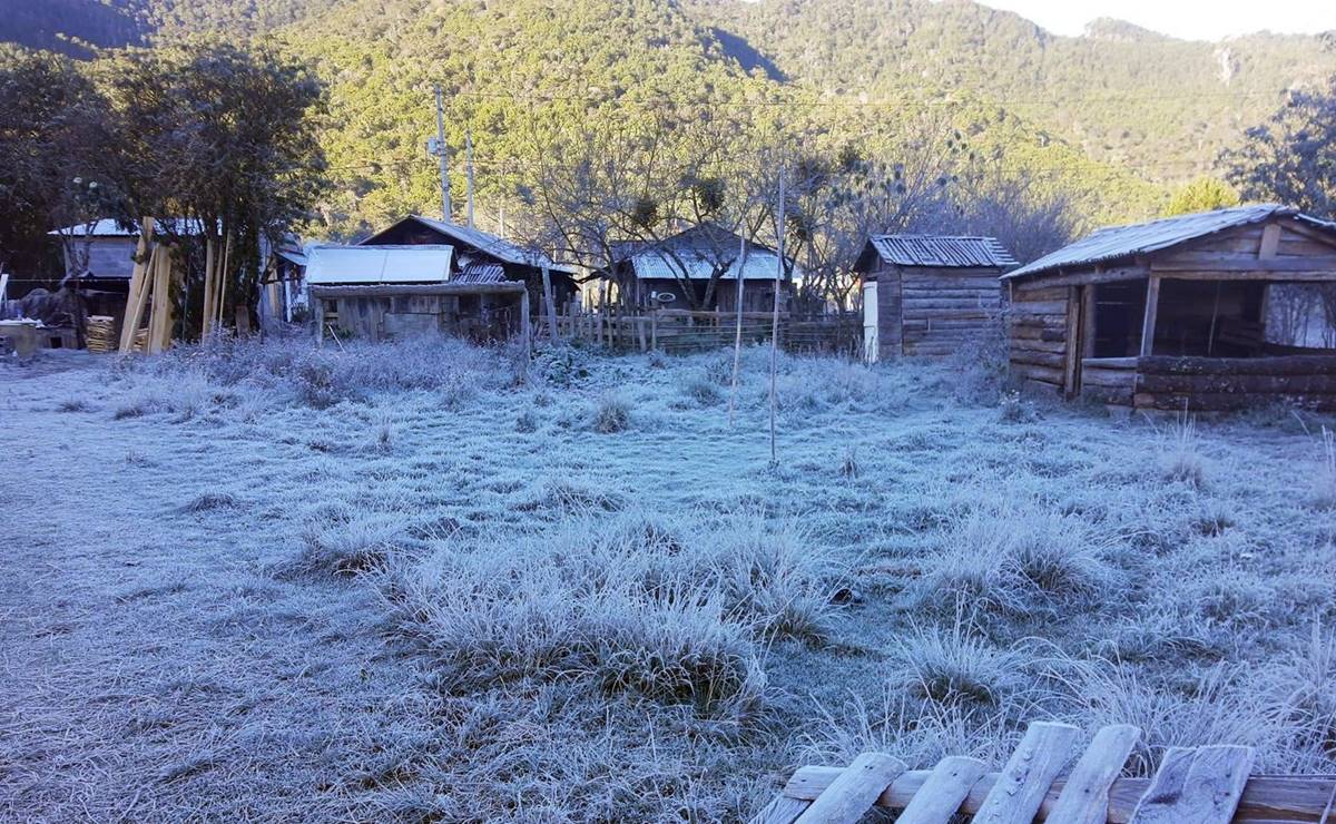 El fenómento es inusual en la región Huasteca de San Luis Potosí, pero fue causado por el Frente Frío 17. Foto: Tomadas de redes sociales Blankita Hernández