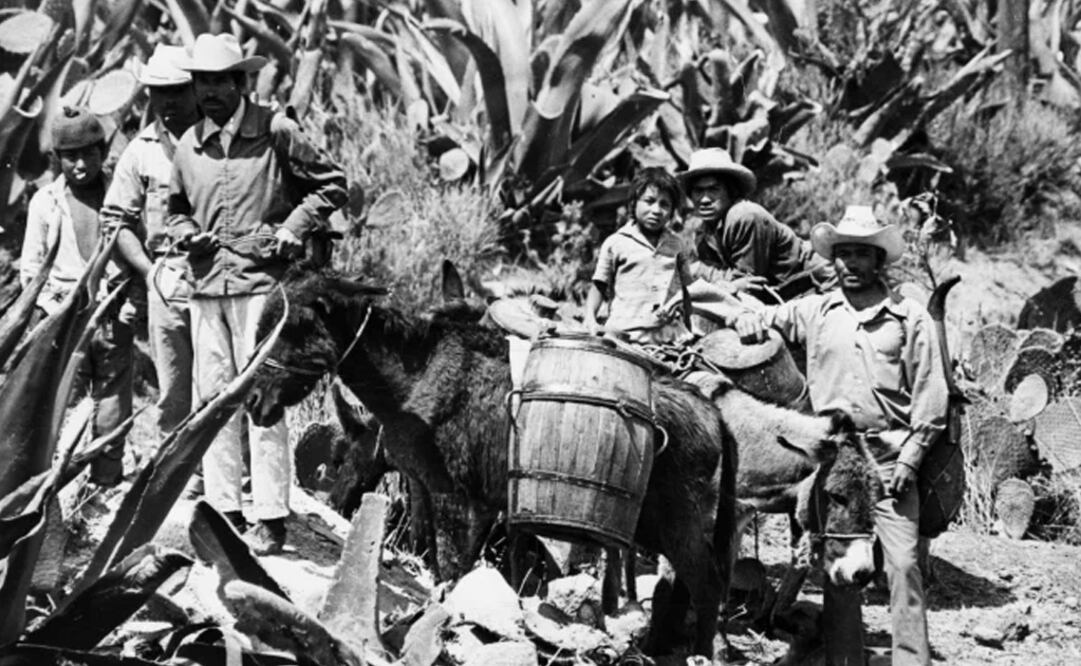 Foto: El Universal San Luis Potosí