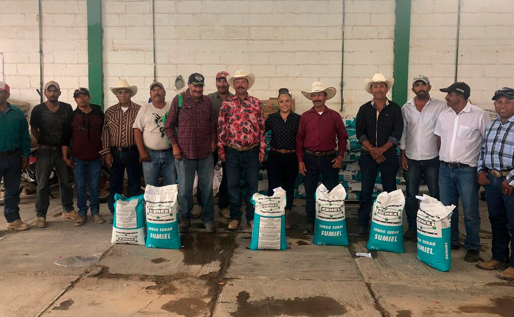 Entregan más de 795 toneladas de semillas para bancos de forraje