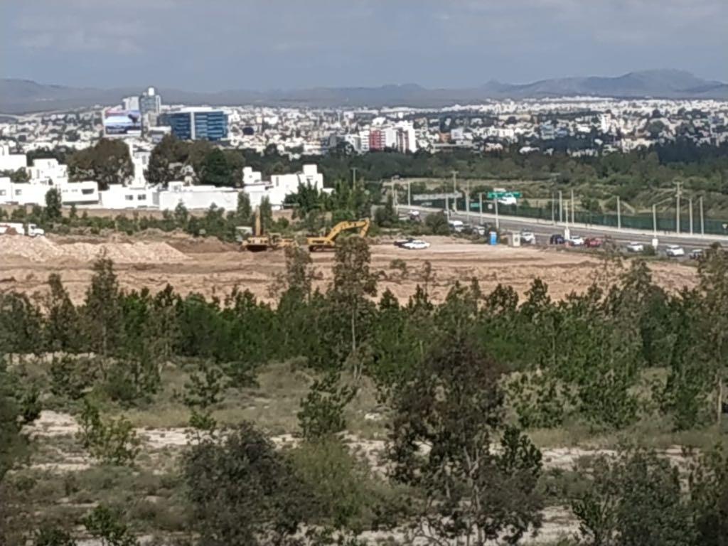 SEGAM no autorizó tala de árboles en terreno de nueva plaza comercial