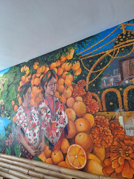 Mural del Rincón Huasteco de la capital de SLP