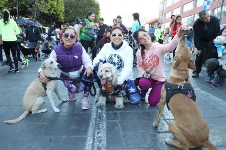 Galindo inaugura competencia que busca promover adopciones de lomitos en SLP
