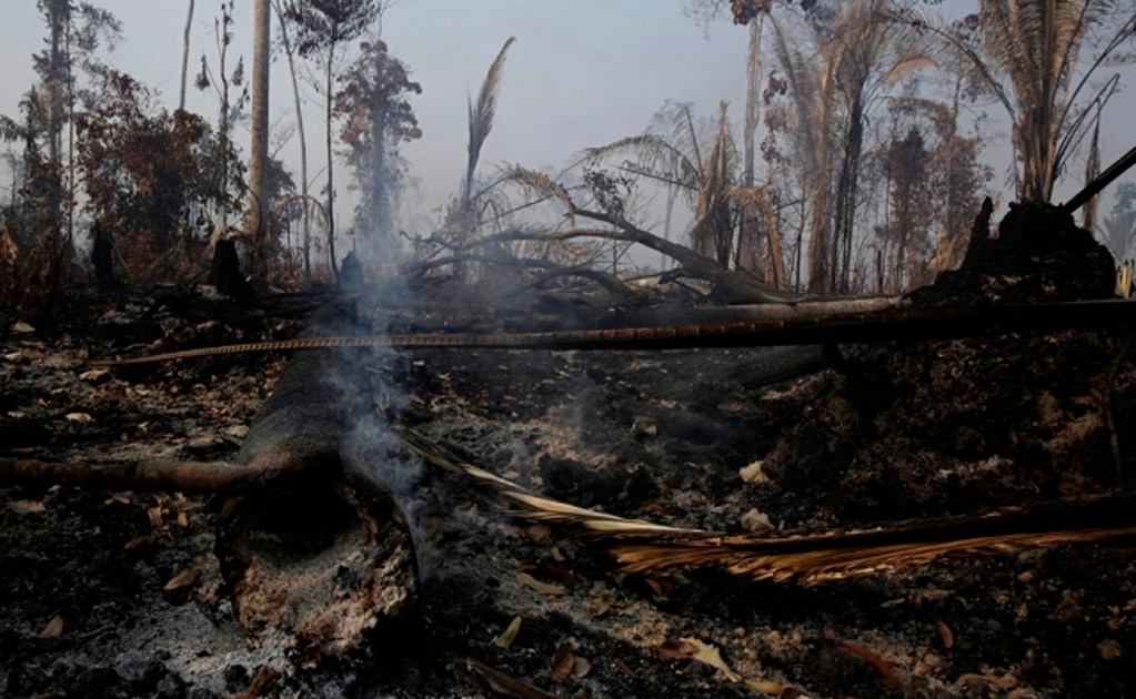 Las imágenes de los incendios registrados en la selva amazónica de Brasil