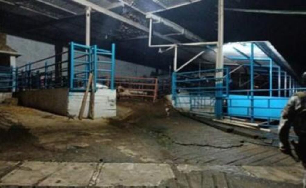 Mansiones con lagos artificiales, autos de lujo y animales exóticos, lo asegurado a la Familia Michoacana en Edomex