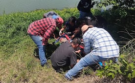 Cocodrilo ataca a trabajador en rancho de la Huasteca potosina