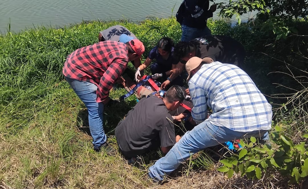 Cocodrilo atacó a un trabajador en la Huasteca potosina. Foto: Especial