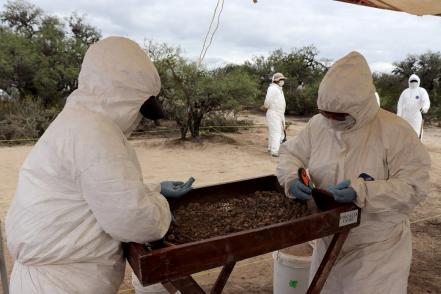 Continúan trabajos en fosa clandestina de Moctezuma