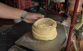 Se dispara precio de la tortilla hasta 28 pesos en SLP; es inaccesible para familias, advierte Canacope