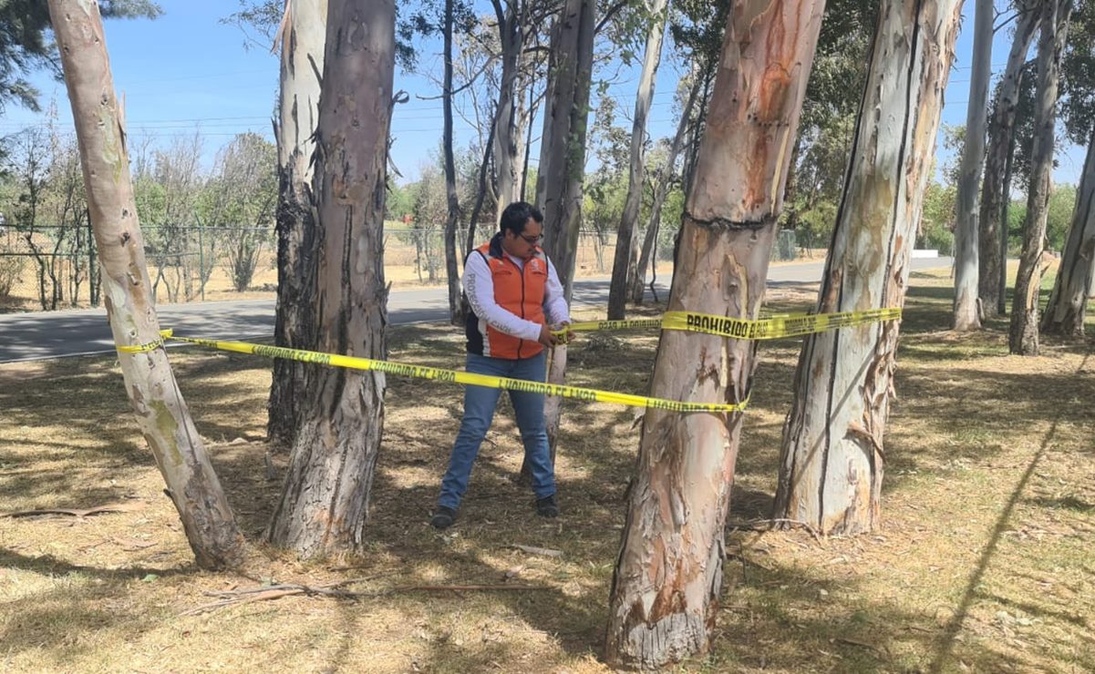 Cierran parques Tangamanga debido a ráfagas de viento en la capital de SLP. Foto: Especial