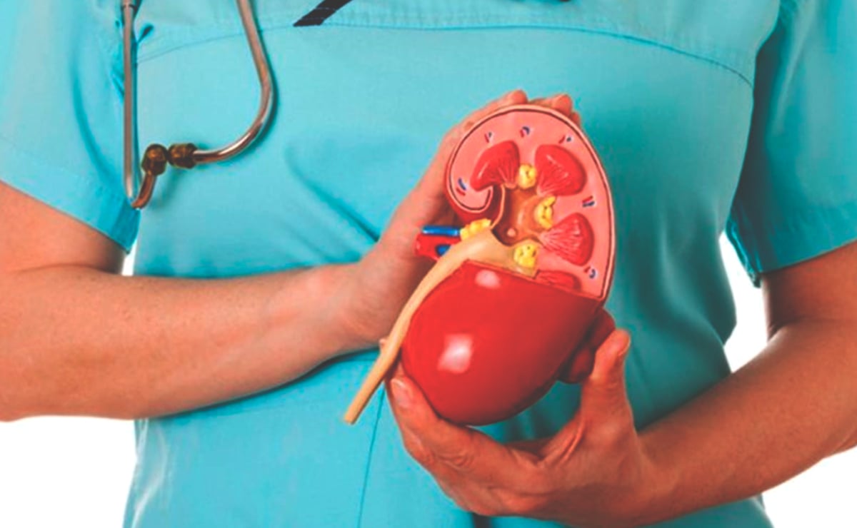 Al menos 154 potosinos, están a la espera de un trasplante de riñón