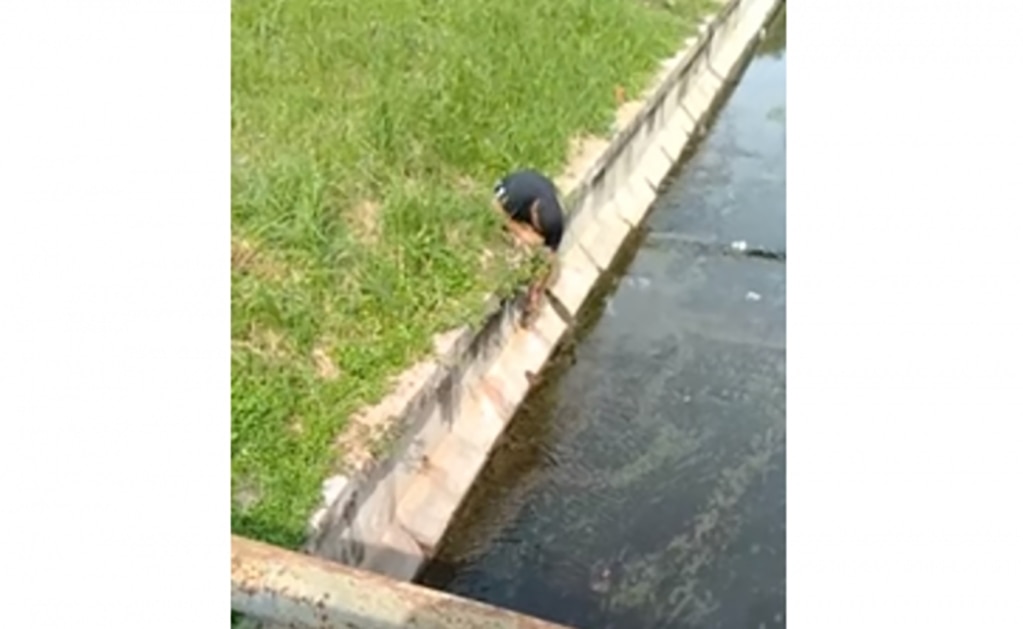 (VIDEO) Hombre con discapacidad salva a gato atrapado en drenaje