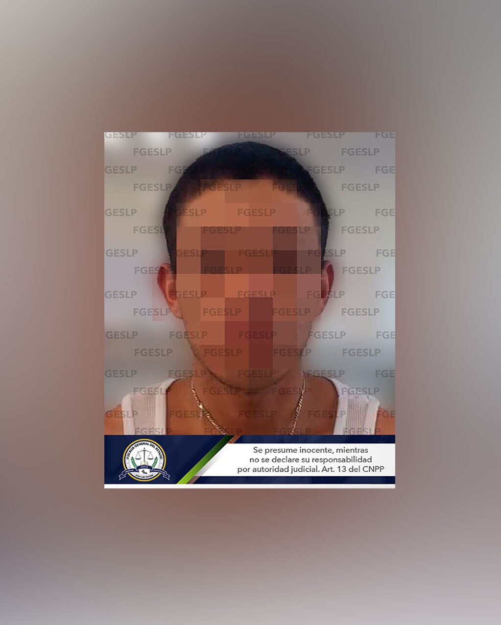 Detienen a joven acusado de robo a domicilio 