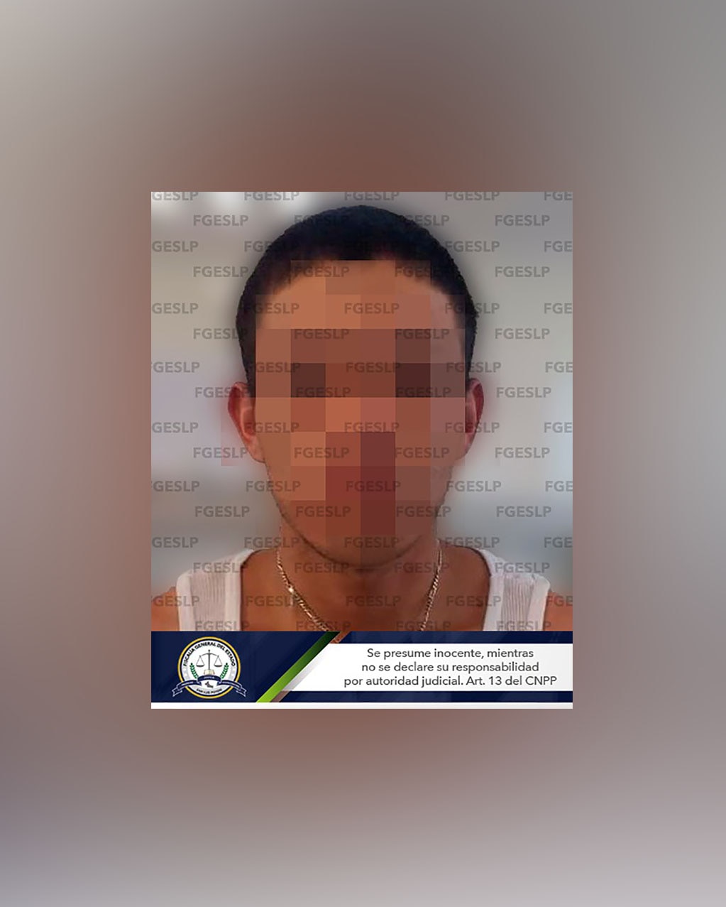 Detienen a joven acusado de robo a domicilio