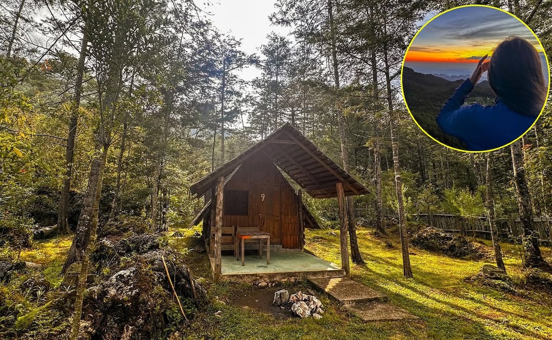 La Trinidad: ¿Qué hacer y cuánto cuesta hospedarse en el bosque de niebla de la Huasteca Potosina?
Foto: La Trinidad Xilitla