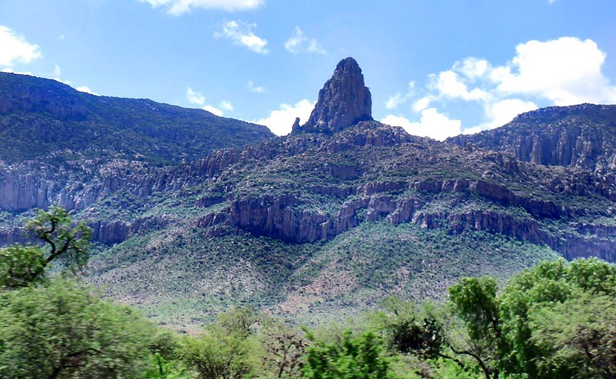 Mantiene Protección Civil en SLP vigilancia en Sierra de San Miguelito para evitar incendios forestales