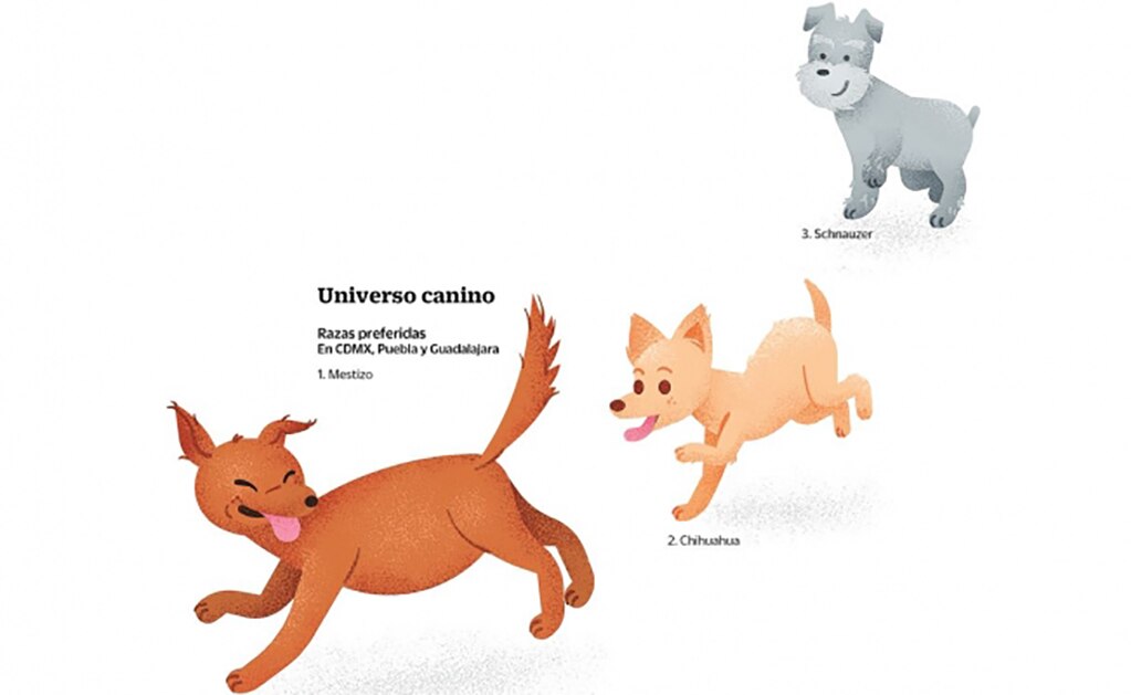 Una industria consentida y muy perrona