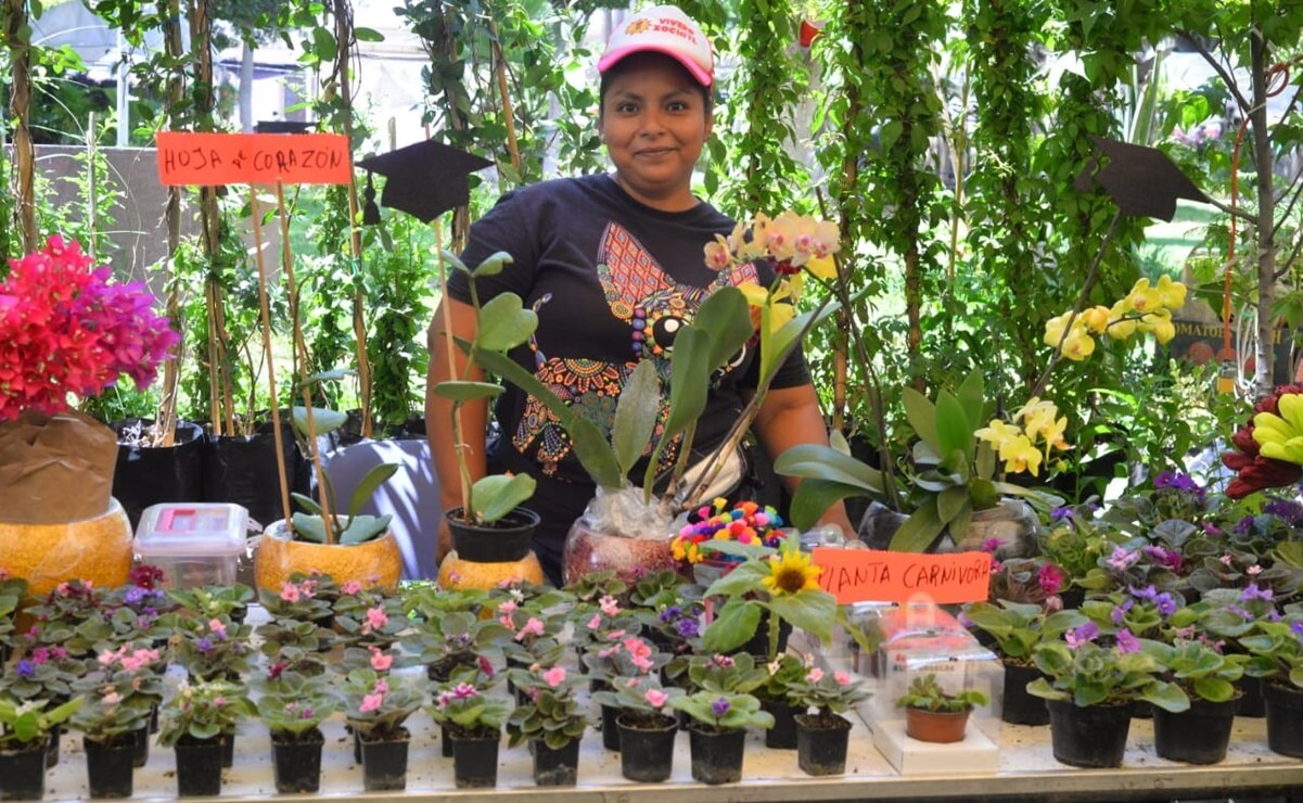 Anuncian el Festival de las Flores de Soledad 2024; conoce todas las actividades