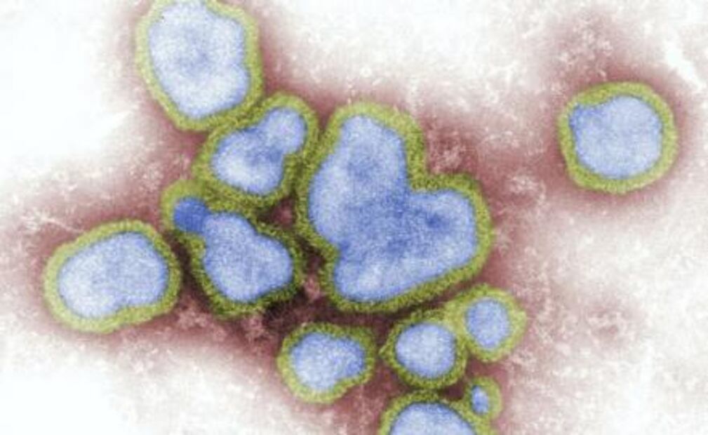 Alertan por cepa H3N2 de influenza, potencialmente mortal