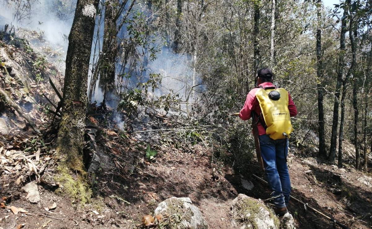 Continúa el combate de tres incendios forestales en la Huasteca Potosina 