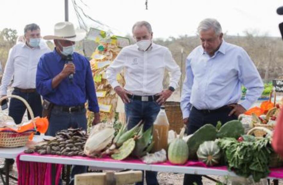 Tras visita de AMLO, Carreras López se hizo la prueba Covid demasiado pronto: experta