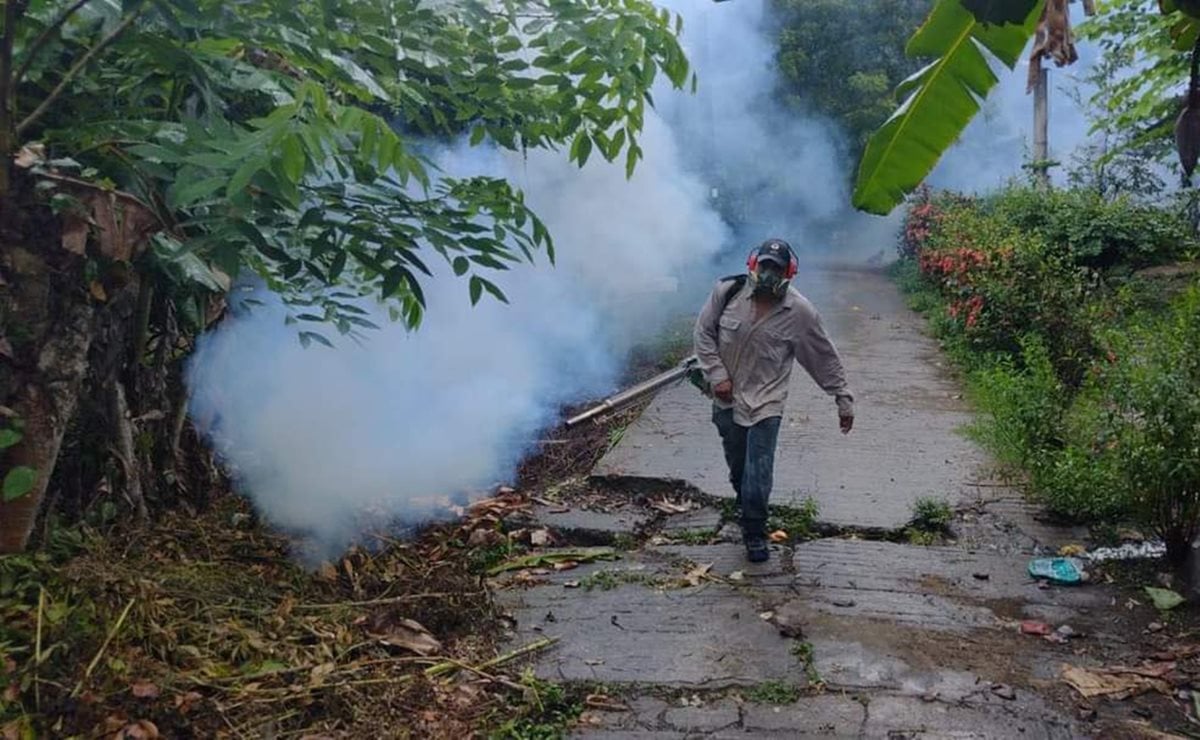 SLP registra 14 casos confirmados de dengue; prevén un incremento de contagios