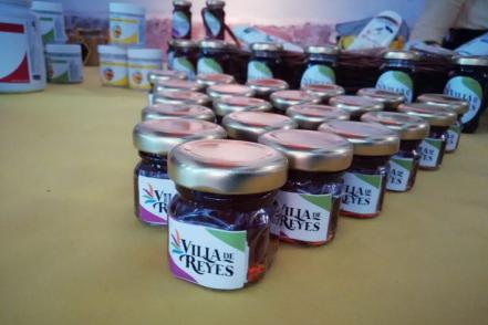 Villa de Reyes, primer municipio de SLP con marca ciudad 