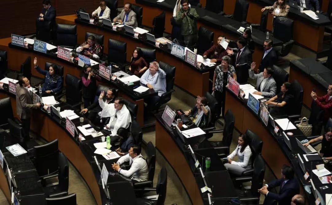 Senado de la República. Foto: Carlos Mejía