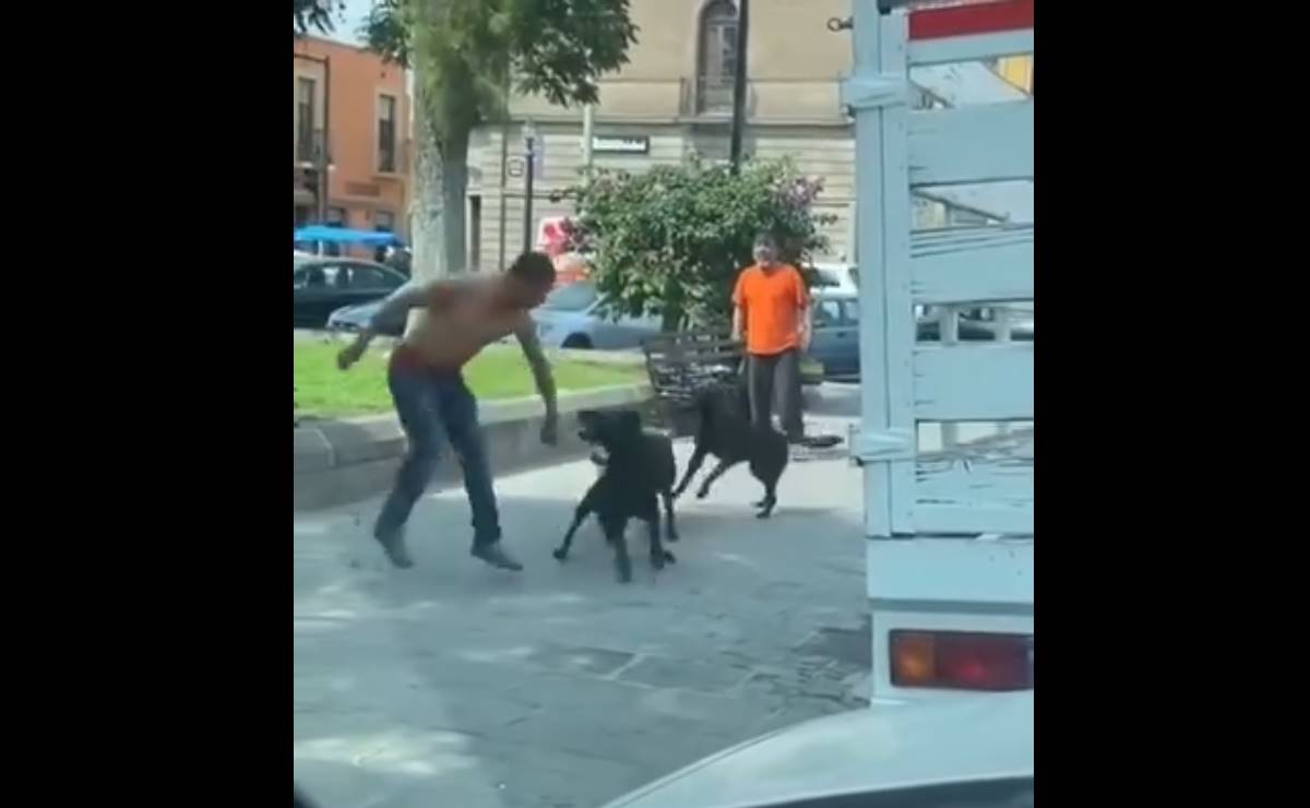 VIDEO: Manada de lomitos se hacen virales en SLP; detienen pelea entre dos hombres 