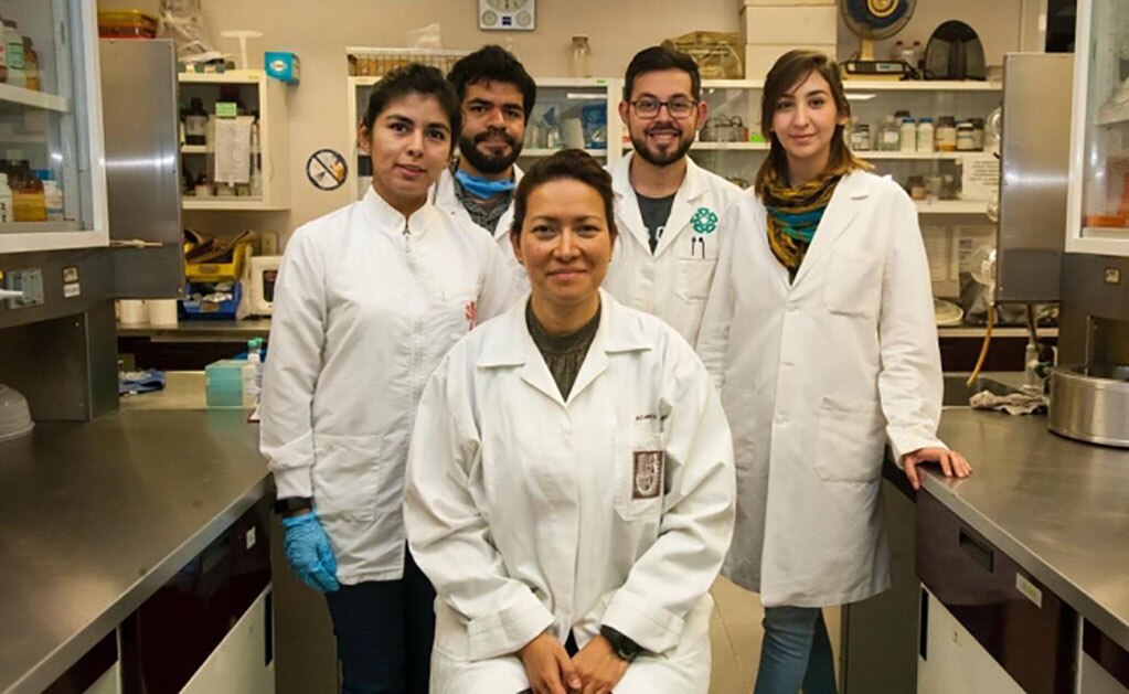 Logran eliminar VPH al 100% a 29 pacientes a través de fototerapia dinámica