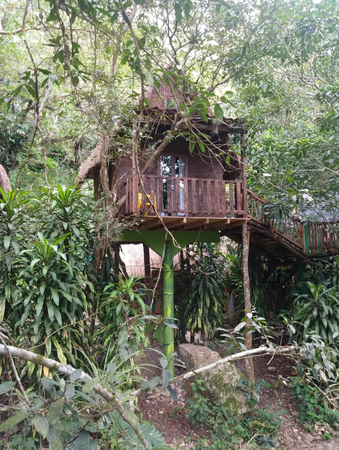 Casa del árbol de la Huerta. Foto: 
Vive la Experiencia
Villa Ecoturística La Huerta