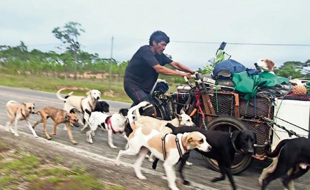 Un triciclo con ropa, trastos y algunas herramientas fueron los aliados de Edgardo al iniciar su travesía por la costa del Pacífico. Hoy lo acompaña una docena de perros (FOTOS: FREDY MARTÍN. EL UNIVERSAL)