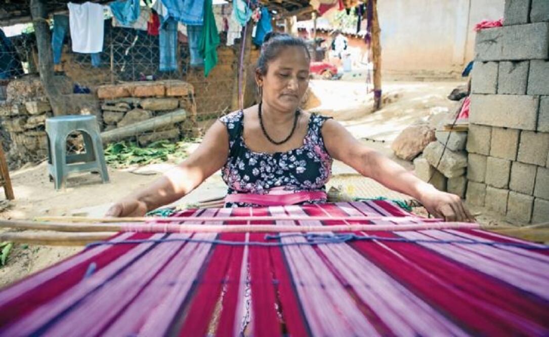 Con el fin de conservar la tradición sin afectar a la especie, los tintoreros explotan al caracol púrpura sólo seis meses, y el resto del año permiten la reproducción del molusco. (Foto: MARIO ARTURO MARTÍNEZ)