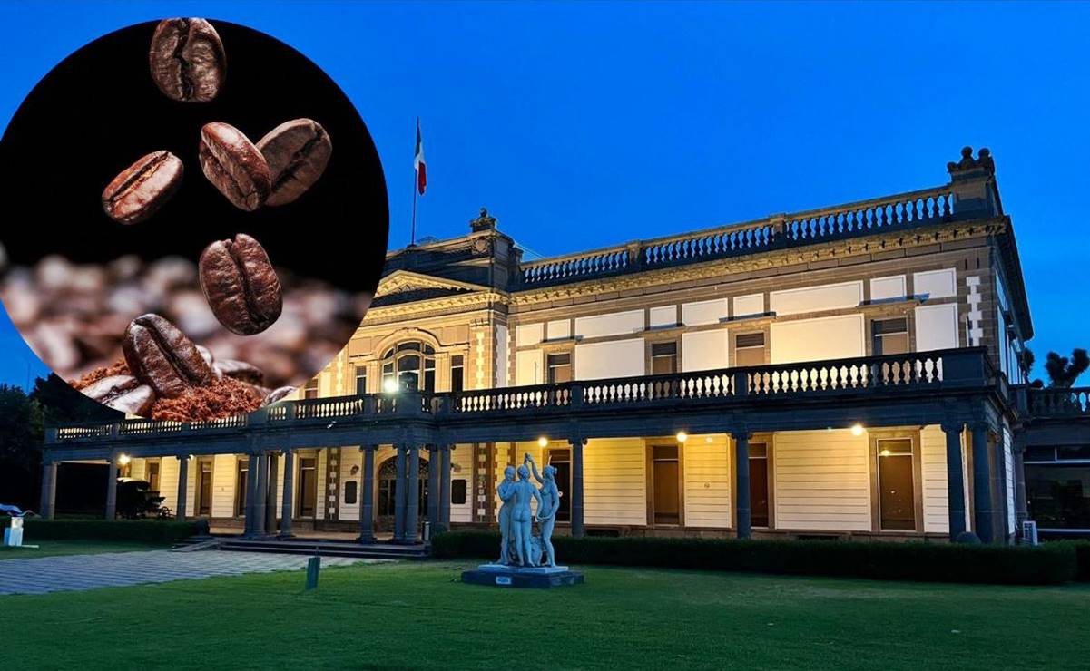 El festival del café donde podrás disfrutar variedades de San Luis, Chiapas, Oaxaca y otros estados del país